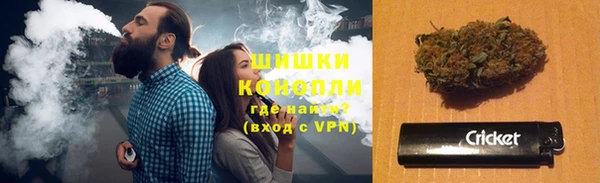 гидропоника Бородино
