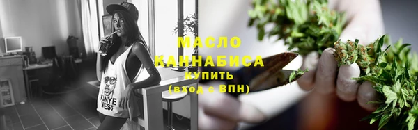 стаф Верея