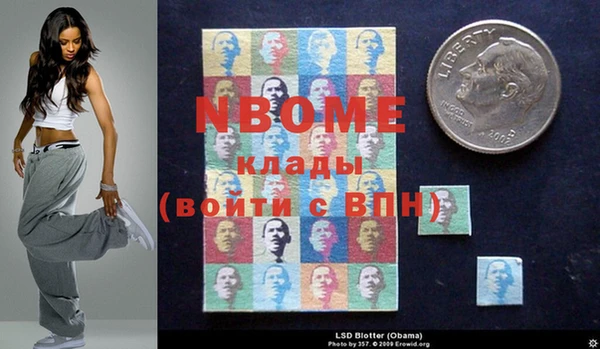 стаф Верея