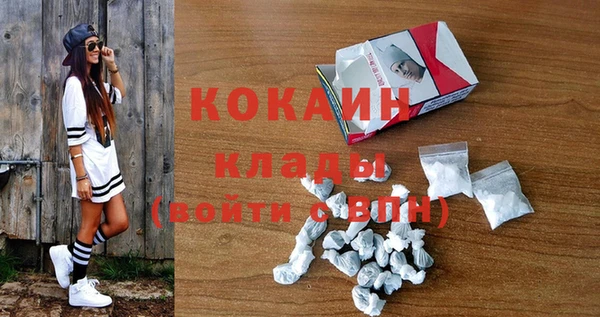 гидропоника Бородино