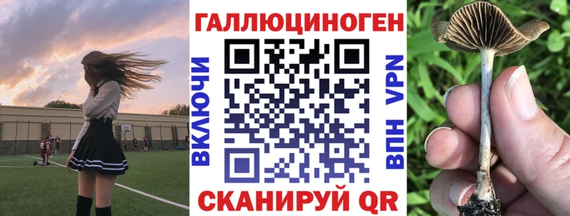 Купить где  Крымск  Псилоцибиновые грибы прущие грибы 